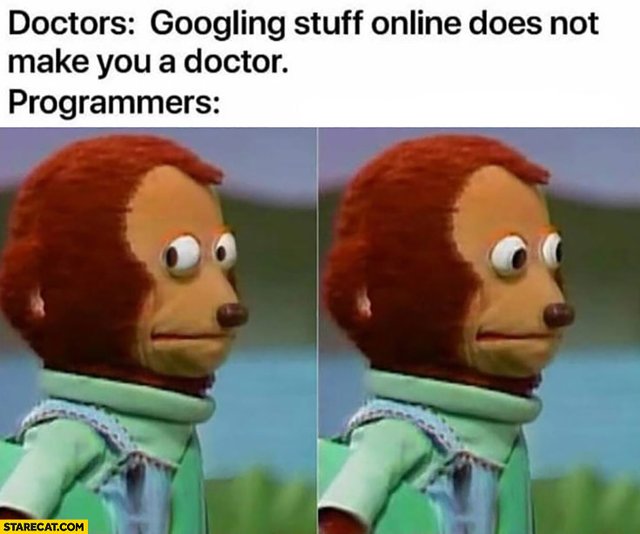 Meme mocking programmers' reliance on Google to do their job